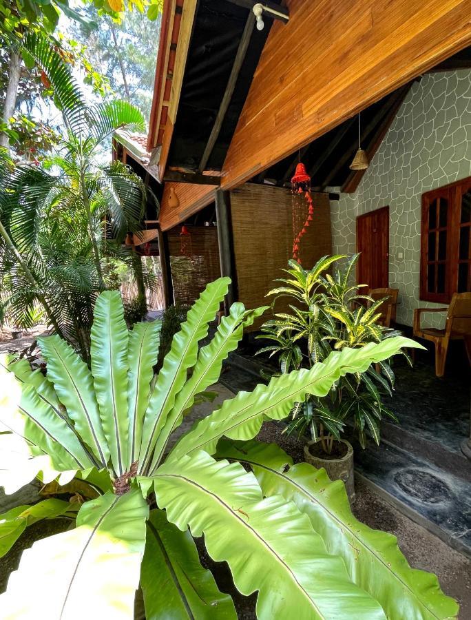 New Roy Guest House كالكوداه المظهر الخارجي الصورة