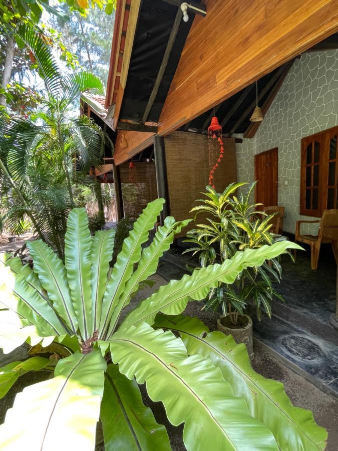 New Roy Guest House كالكوداه المظهر الخارجي الصورة