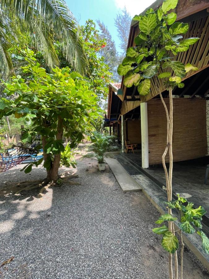 New Roy Guest House كالكوداه المظهر الخارجي الصورة